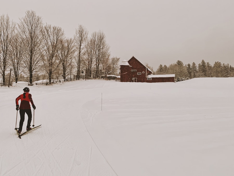 Photo cross-country skiing